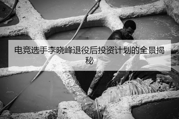 dian-jing-xuan-shou-li-xiao-feng-tui-yi-hou-tou-zi-ji-hua-de-quan-jing-jie-mi-2-265.jpg